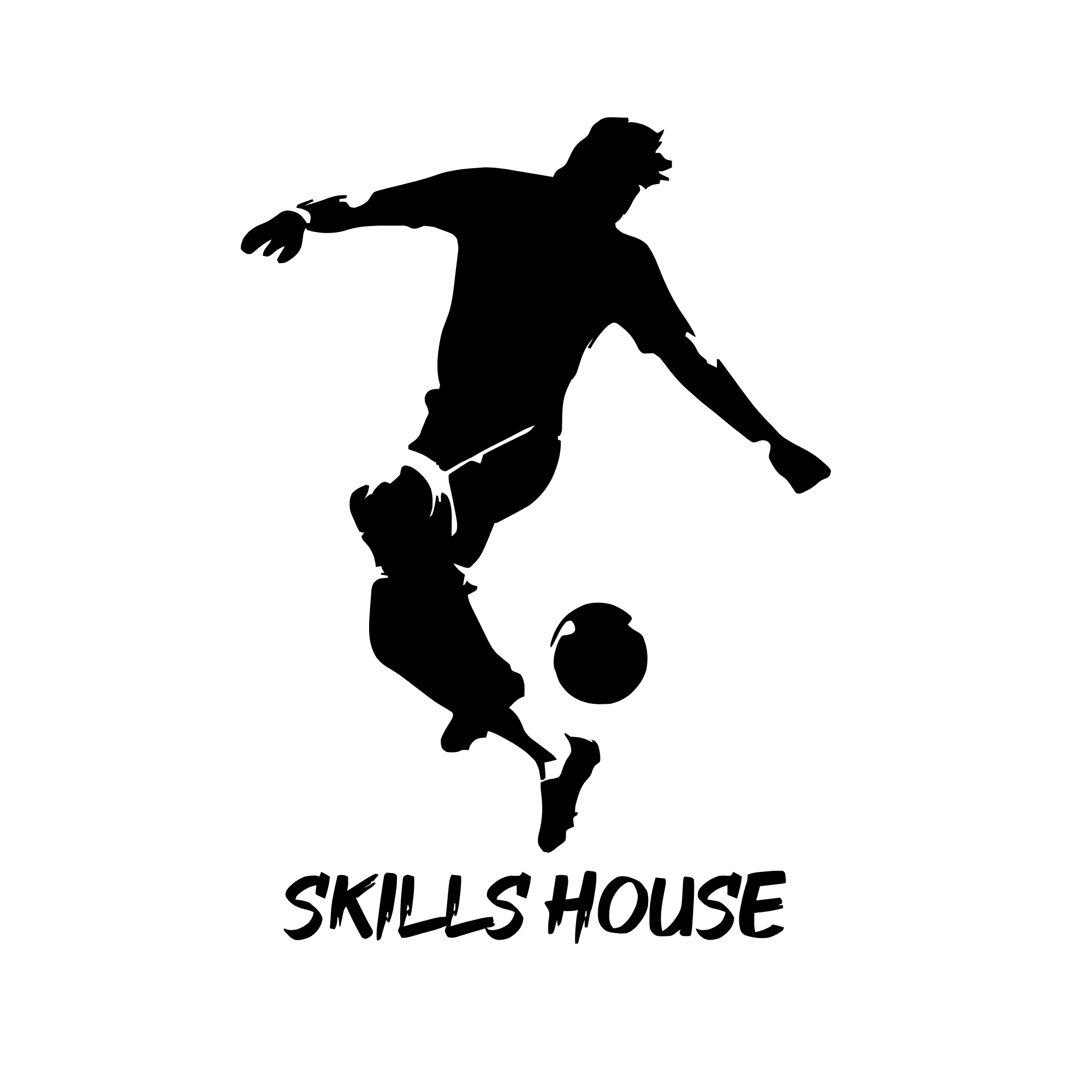 Skills House Academy